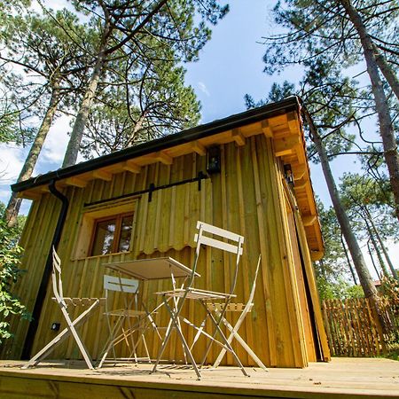 Cabane Foret Proche Plage Pyla Sur Mer Dış mekan fotoğraf